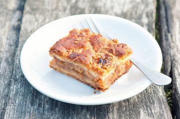 Summer breakfast. Piece of apple pie/cake with cinnamon.