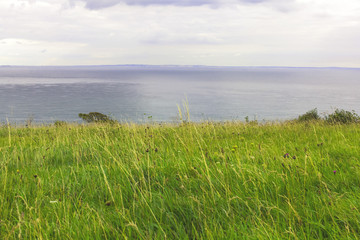 steep grassy shore of the sea