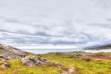 Northern Norwegian landscape