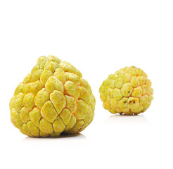 Custard apple tropical fruit on white background, Thailand