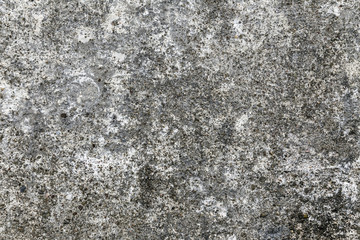 Concrete Texture