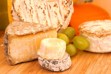 Various types of cheese