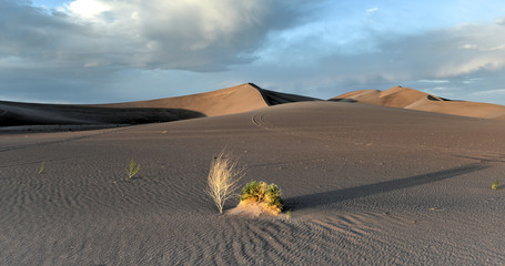 Sand Dunes along the Amargosa Desert at sunset