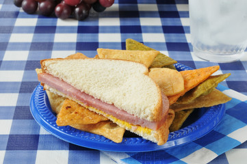 Ham sandwich on a picnic table