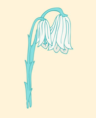 flower (floral) plants vector illustration, hand drawn