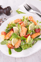 salad with salmon