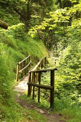 wanderweg bruecke II