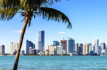 Miami Downtown skyline - obrazy, fototapety, plakaty