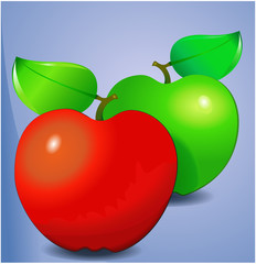 Vector format of red and green apple with leafs