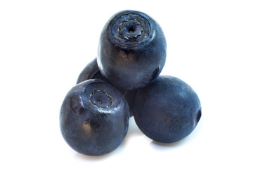 Several wild blueberries isolated on white macro.