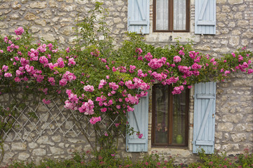 Fototapeta na wymiar Fenster, Fensterläden und blühende Rosen
