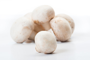 Focus on one fresh mushroom.