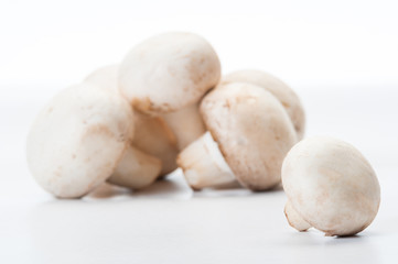 Fototapeta na wymiar Closeup of one mushroom.