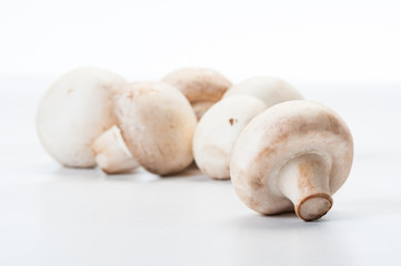 Closeup of champignon mushroom.