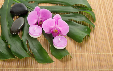Leaf of monstera, orchid, candle and stones