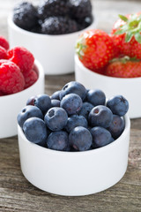 Fresh blueberries in a bowl close-up and berries, vertical