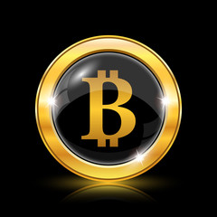 Bitcoin icon