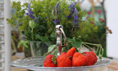 Erdbeeren Früchte