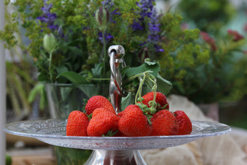 Erdbeeren Früchte