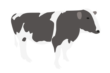 牛のイラスト　右向き