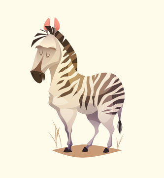 Zebra character. Cartoon vector illustration.