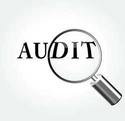 Vector audit theme illustration