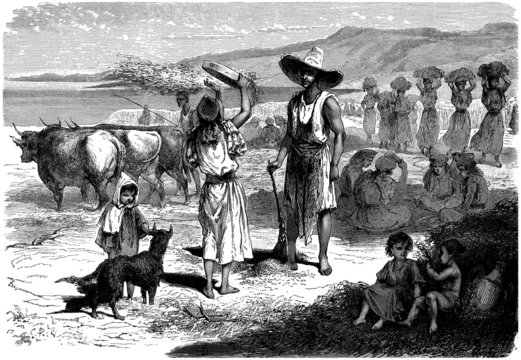 Harvest in Kabylia - Moisson en Pays Berbère - 19th century
