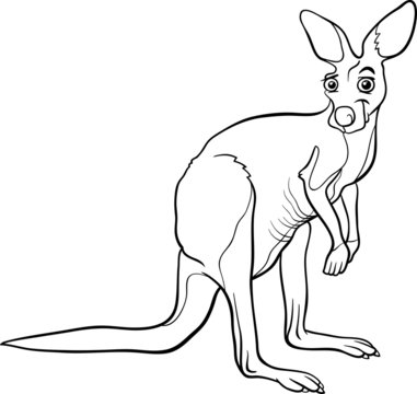 Kangaroo Animal Cartoon Coloring Page