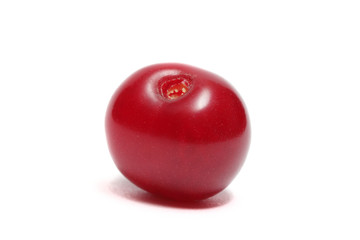 One red ripe cherry