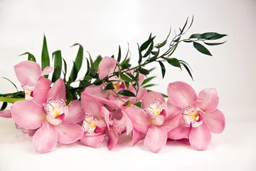 Abwaschbare Fototapete Orchideen © kelifamily