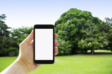 hand holding smartphone against spring green