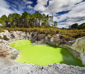 Devil's Bath pool, Waiotapu, New Zealand