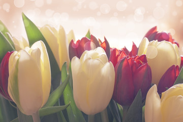 Panele Szklane Podświetlane  Delikatny bukiet tulipanów, pastelowe kolory