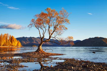 Türaufkleber Lake Wanaka, Neuseeland © Dmitry Pichugin