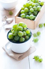 Fresh ripe green gooseberry
