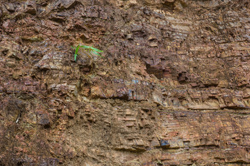 Cliffs rock layers