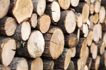 Wood stacked after lumbering