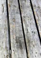 Old Wood Texture