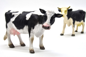 Vacas