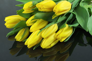 tulipany na czarnym tle