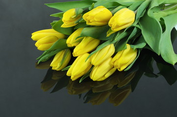 tulipany na czarnym tle - obrazy, fototapety, plakaty