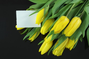 tulipany z dedykacją na czarnym tle © saltare
