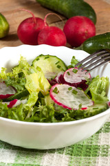 Salad with radish and green cucumber