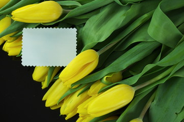 tulipany z dedykacją
