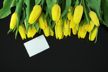 tulipany z dedykacją - obrazy, fototapety, plakaty