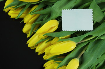 tulipany z karteczką