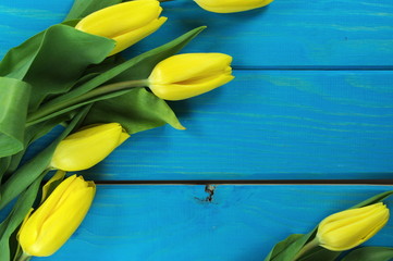 żółte tulipany - obrazy, fototapety, plakaty