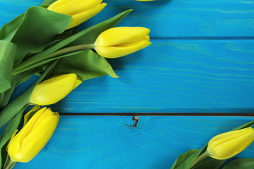 żółte tulipany - obrazy, fototapety, plakaty