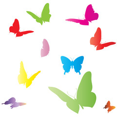 Vector white background.