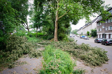 sturmschäden auf der straße
